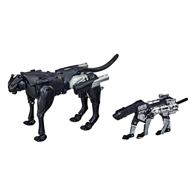 Blister Figura Covert Agent Ravage + Decepticon Forever Ravage War From Cybertron Transformers 15cm
